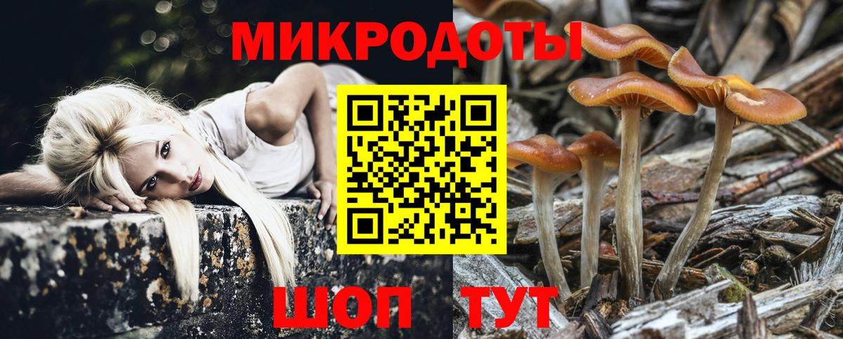 Галлюциногенные грибы MAGIC MUSHROOMS  Псилоцибиновые грибы мицелий  Аша  Вход с VPN 